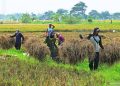Menolak Menjadi Sekrup, Menempatkan Kemanusiaan di Atas Angka Pertumbuhan
