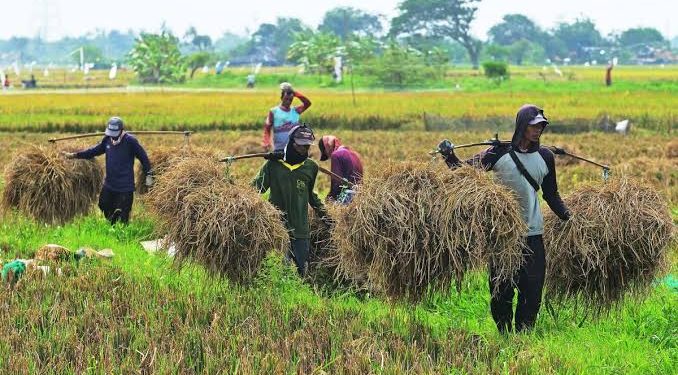 Menolak Menjadi Sekrup, Menempatkan Kemanusiaan di Atas Angka Pertumbuhan