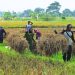 Menolak Menjadi Sekrup, Menempatkan Kemanusiaan di Atas Angka Pertumbuhan